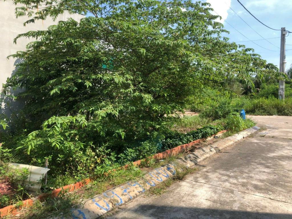 NỀN ĐẤT GÓC 2 MẶT TIỀN HẺM 53 ĐƯỜNG 8 LÒ LU - 6 TỶ/120M2